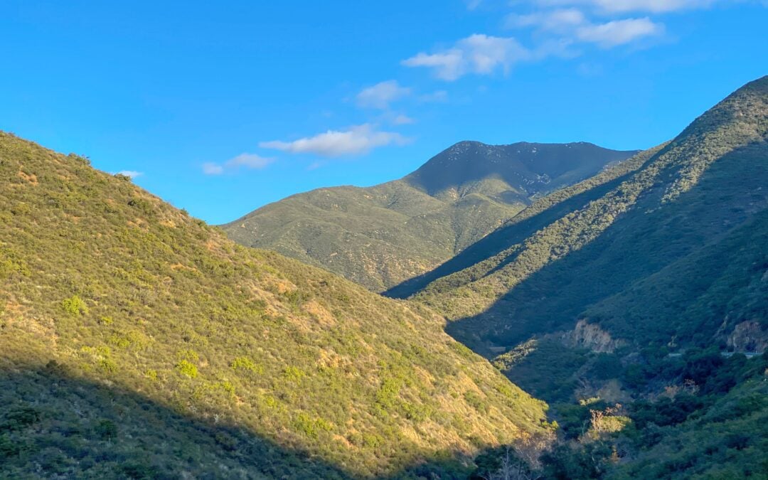 Senators Feinstein and Padilla Introduce Bill to Create Western Riverside National Wildlife Refuge