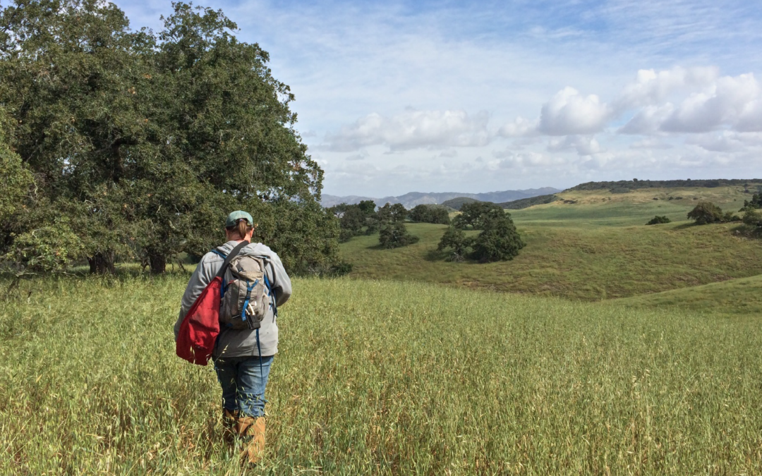 Managing RCA Conserved Lands