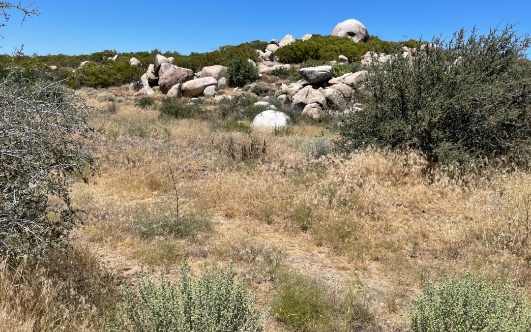 Exploring the JPR INC Reserve Lands: A Vital Habitat in Riverside County
