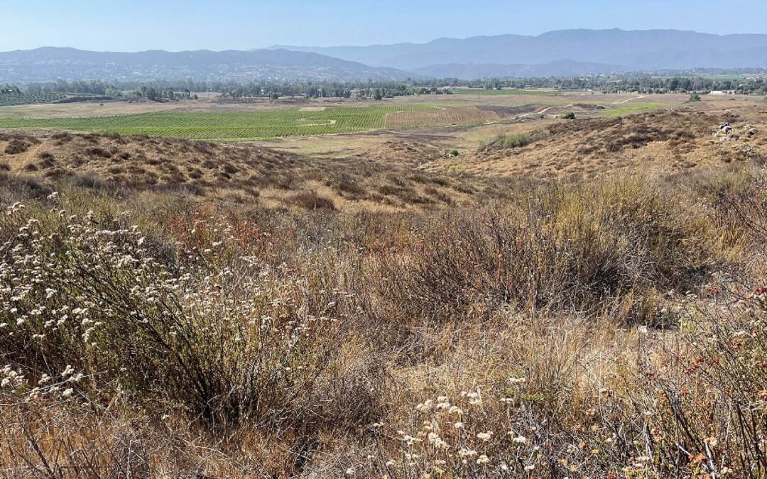 RCA Acquires 164 Acres Near Murrieta for Conservation